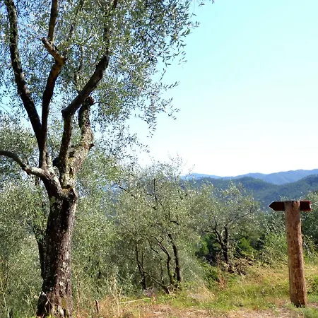 Stunning Holiday In Rio With Terrace Barbecue Parking Semesterbostad Rio (La Spezia)